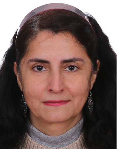 Prof. Dr. Özlem ÖZMEN